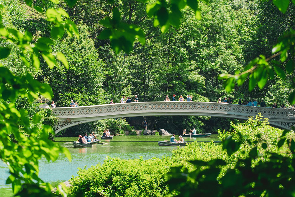 Central Park new York