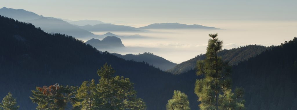 Sequoia National Park