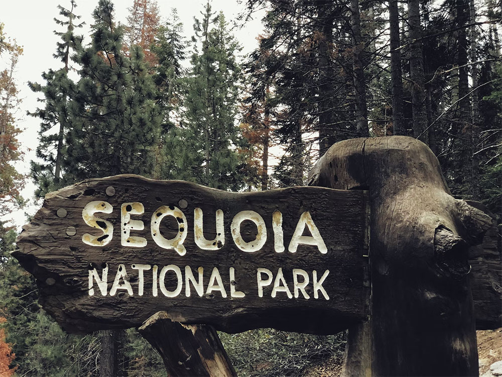 Sequoia National Park