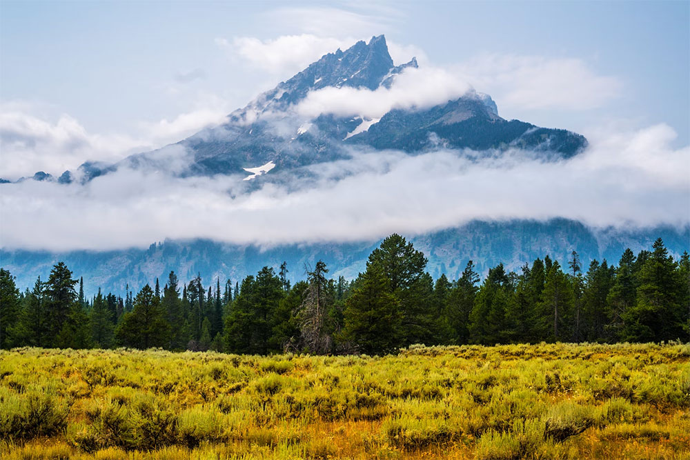 Yellowstone