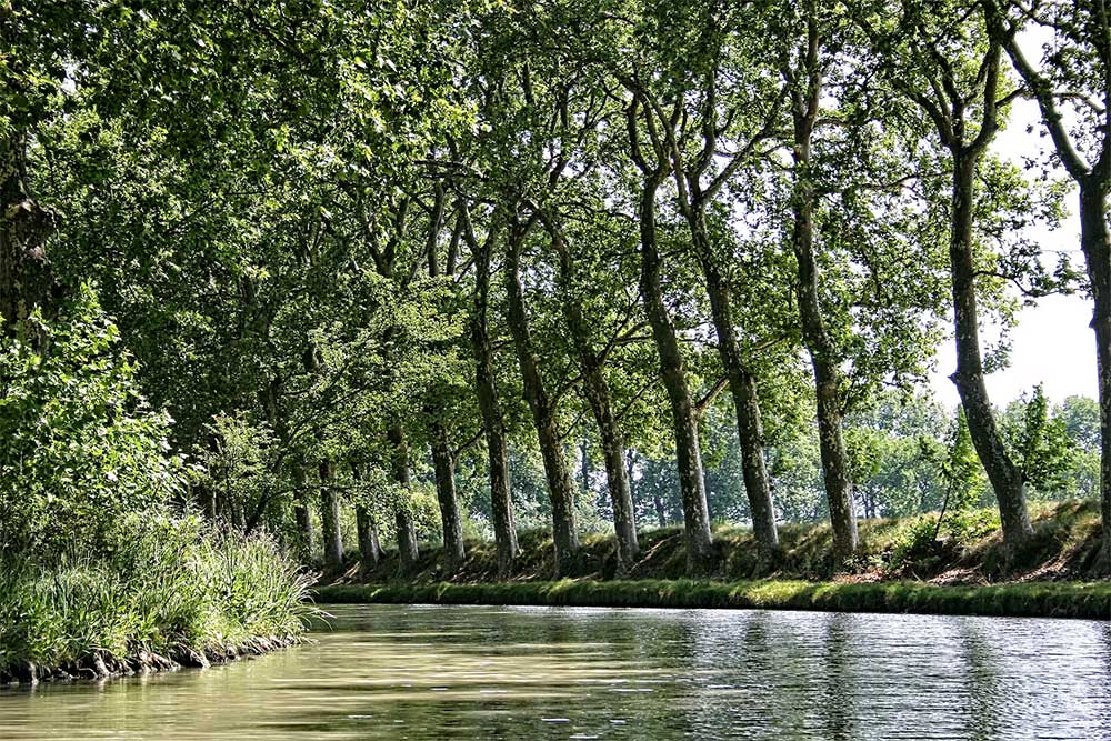 Canal du midi