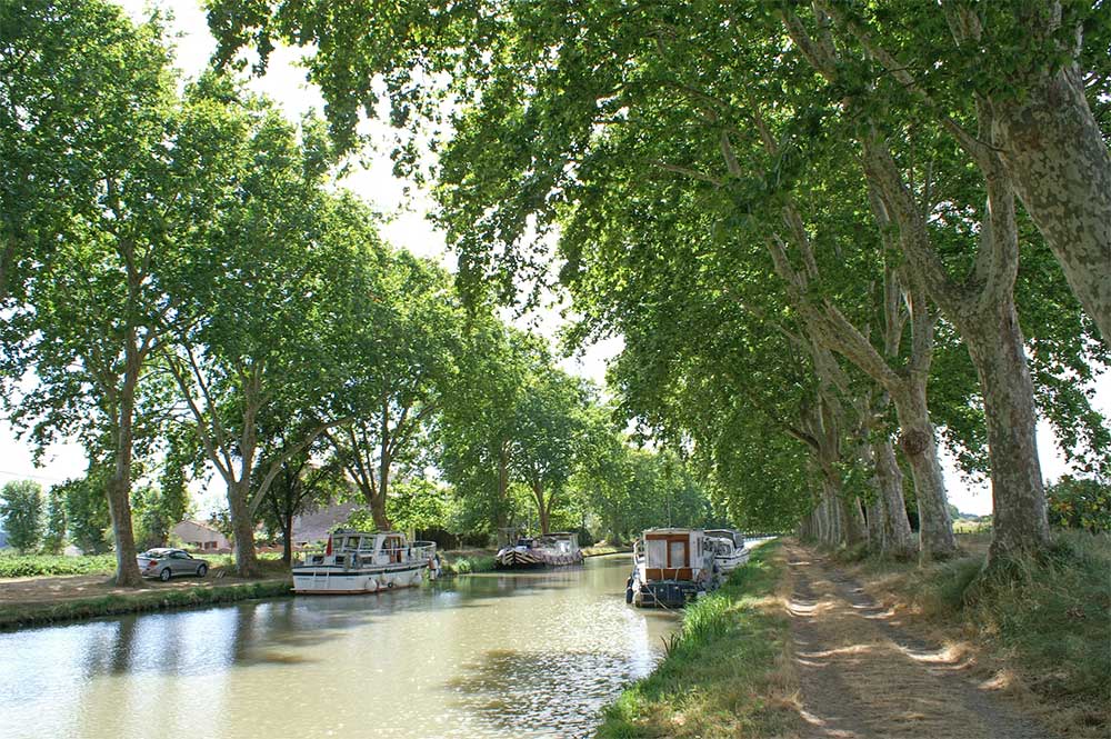 Canal du midi